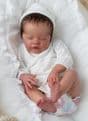 Primrose Asleep - Last 1