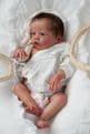 Primrose Asleep - Last 1