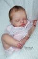 Rosalie - Last 1