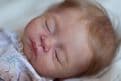 Seren - In Stock