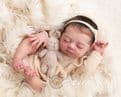 Seren - In Stock