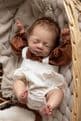 Seren - In Stock