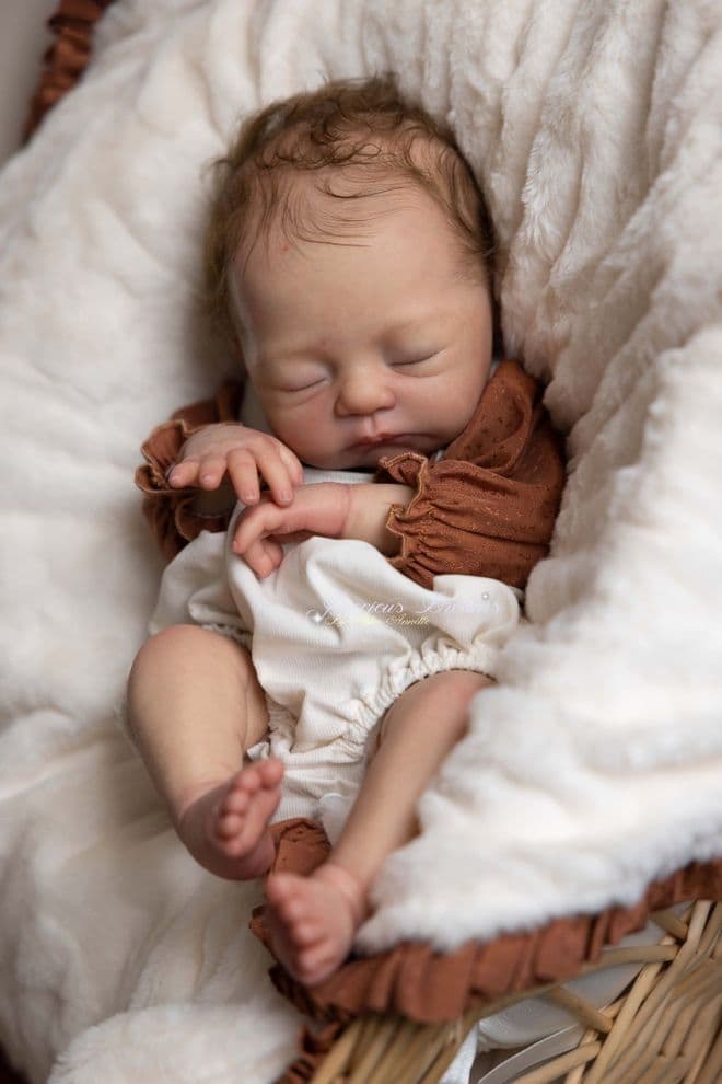 Seren - Pre-Order on 20th February