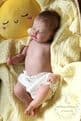 Sunna - Pre-Order Closed