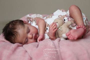 Teddy