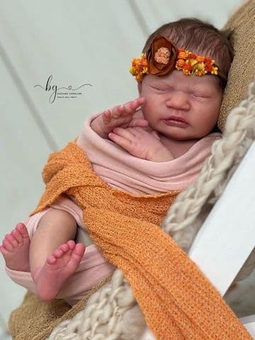 Tulipa - Pre-Order 2nd December