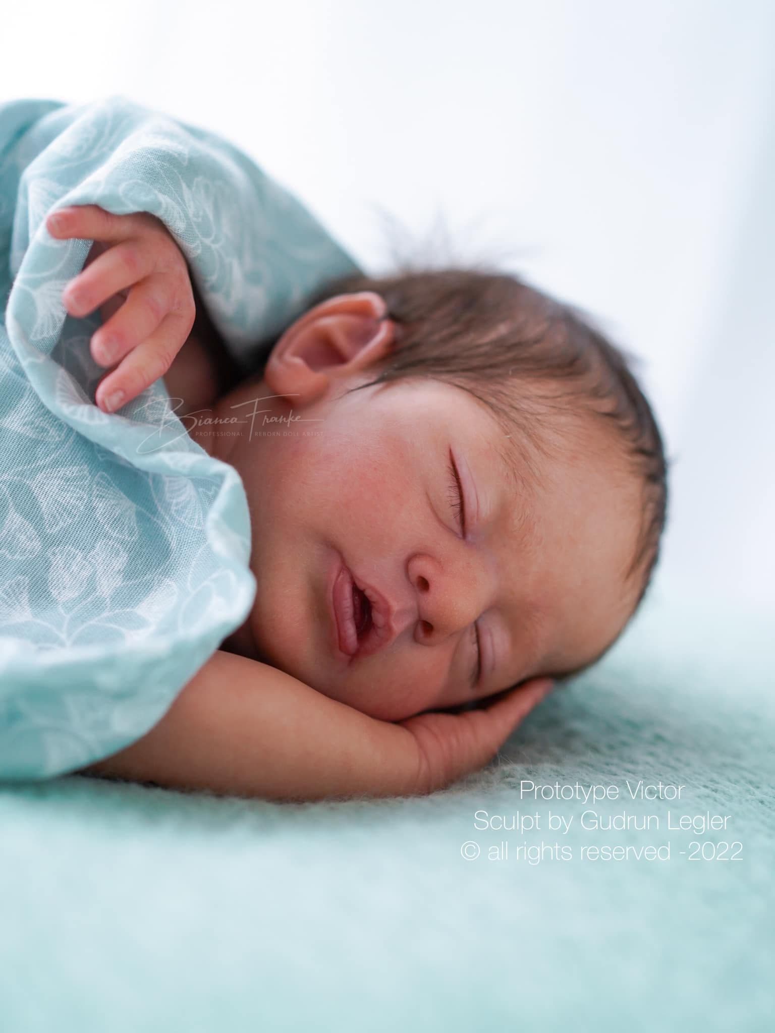 Victor | Bebe Reborn à adopter