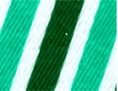 Olimprint Green RBN (Pigment Green 7 CI 74260)