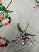 Imani Embroidery Digital Print Coord - Stone