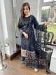 Imrozia heavily embroidered net suit : black