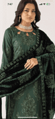 Jaan Dhanak embroidery suit with velvet shawl : Green
