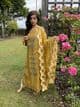 Maria B inspired mustard chiffon suit - Paris