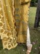 Maria B inspired mustard chiffon suit - Paris