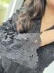 Maria B Paris : FARSHI SALWAAR black