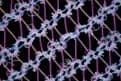 Laowa Aksen 1-5X & 5-10X Ultra Macro APO
