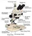 Meiji EMZ-5-TR, 7X-45X Trinocular, StereoZoom Microscope, Dual LED Stand