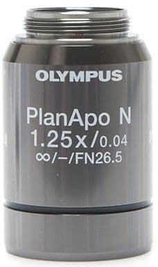 Plan APO Olympus infinity 1.25X non-coverglass corrected, biological type