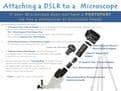 Superior Eyepiece Tube : T-Mount DSLR Adapter - GXMicroscopes