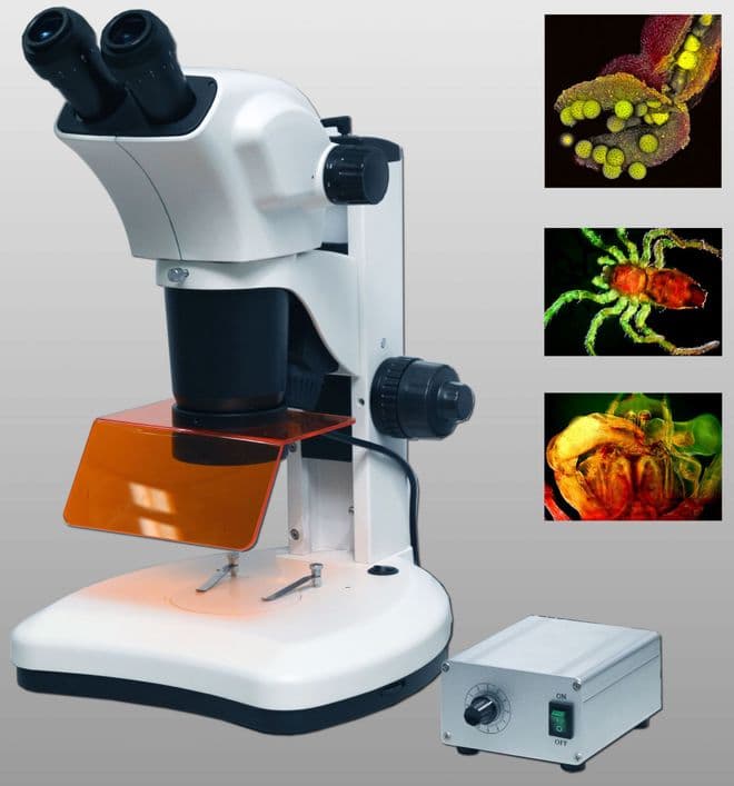 Zoom-3 with Dual LED Track Stand and Fluorescent Light Source