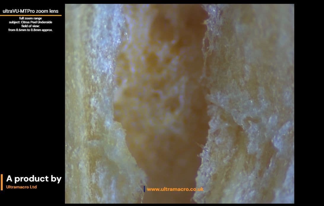ultraVU High Magnification Lens Demonstration of Zoom Capabilities - Citrus Peel