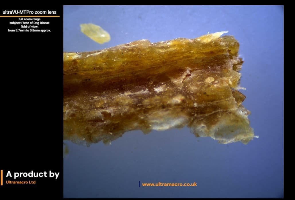 ultraVU High Magnification Lens Demonstration of Zoom Capabilities - Dog Biscuit Crumb