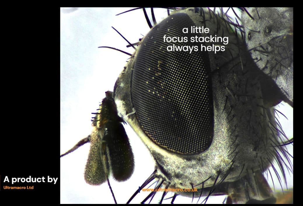 ultraVU High Magnification Lens Demonstration of Zoom Capabilities - Tiny Fly