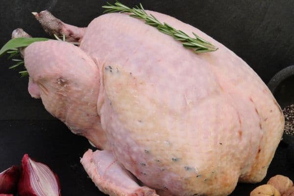 Free Range Bronze Turkey