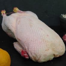 Summer Meats Salads Recipes - Duck