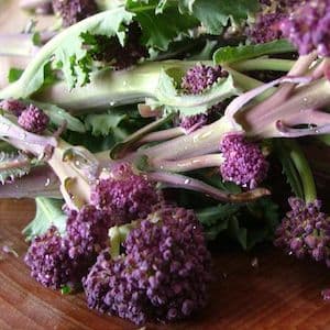 View Godfrey's Top 20 Viewed Seasonal Recipes