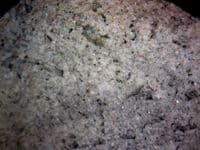 Biohome Ultra (1kg)