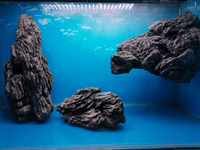 Invisible Aquarium Filter (Air Driven)