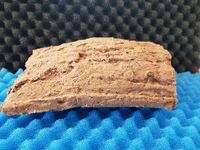 Large breeding cave (Brown) - closed end