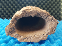 Large breeding cave (Brown) - closed end