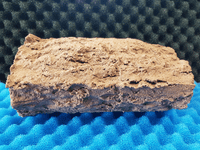 Large breeding cave (Brown) - open ends