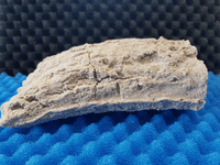 Large breeding cave (Grey) - closed end