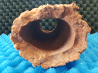 Large breeding cave (Red) - open ends