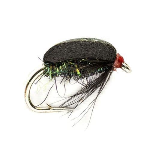 Beetle Coch Y Bonddu Foam