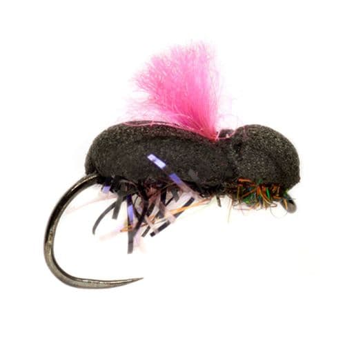 Beetle Procter's Target Pink