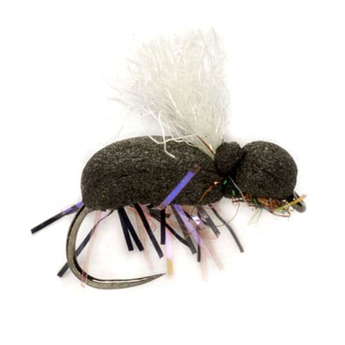 Beetle Procter's Target White