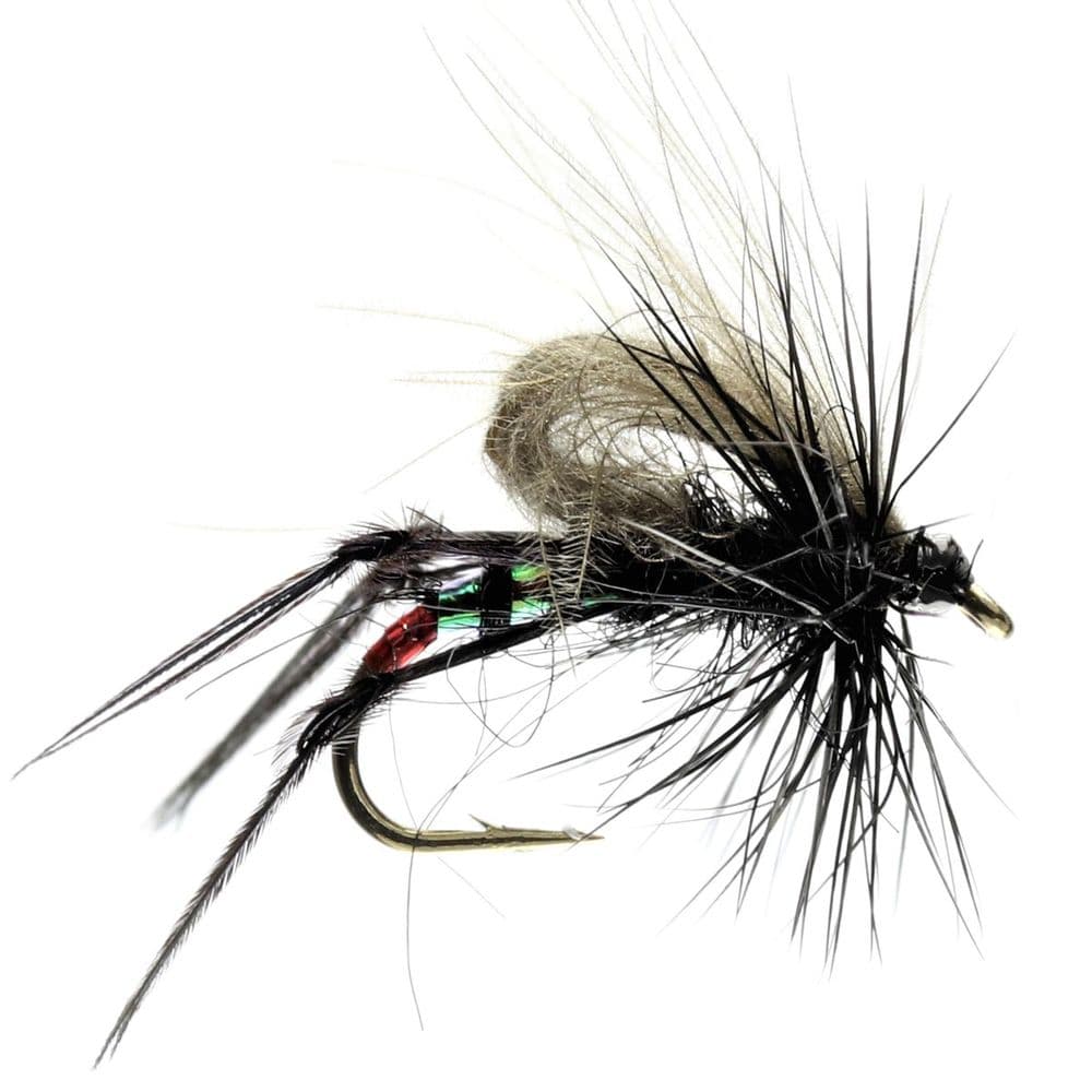 BLACK CDC HOPPER - CALEDONIA
