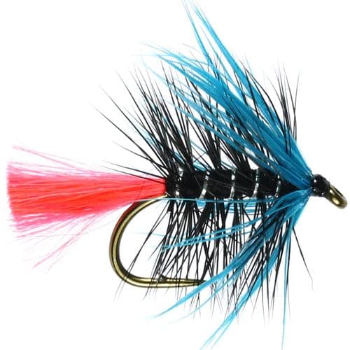 BLUE ZULU - CALEDONIA