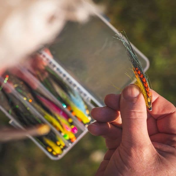 Caledonia Salmon Fly Selection - Monkey Tubes