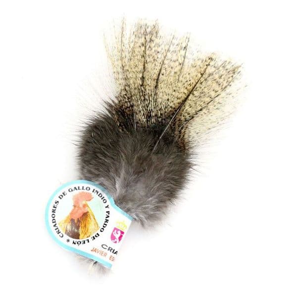 Coq de Leon/Gallo de Leon Medium Speckled Pardo