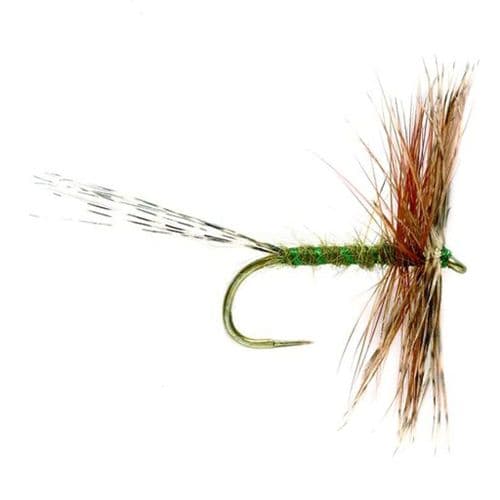 Dark Olive Jingler