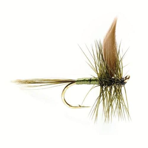 Dark Olive (LDO) Winged