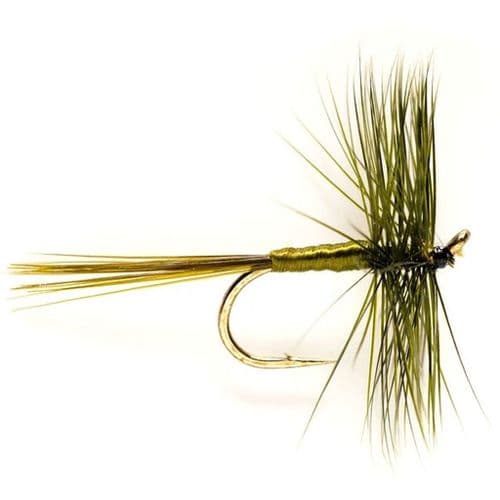 Dark Olive (LDO) Wingless