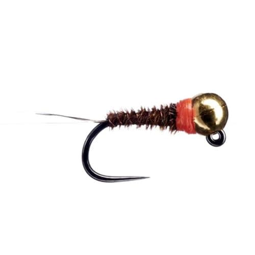 Fario Hot Collar Pheasant Tail Nymph (Chlumsky Series)