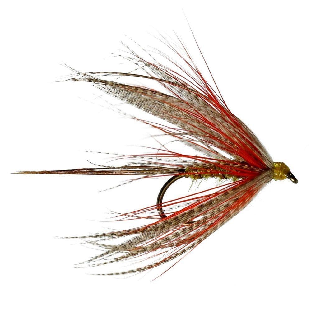 GOSLING MAYFLY - CALEDONIA