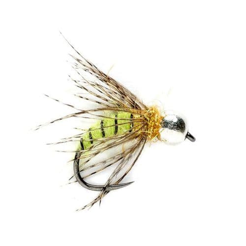 Grannom Pupa Tungsten Nymph