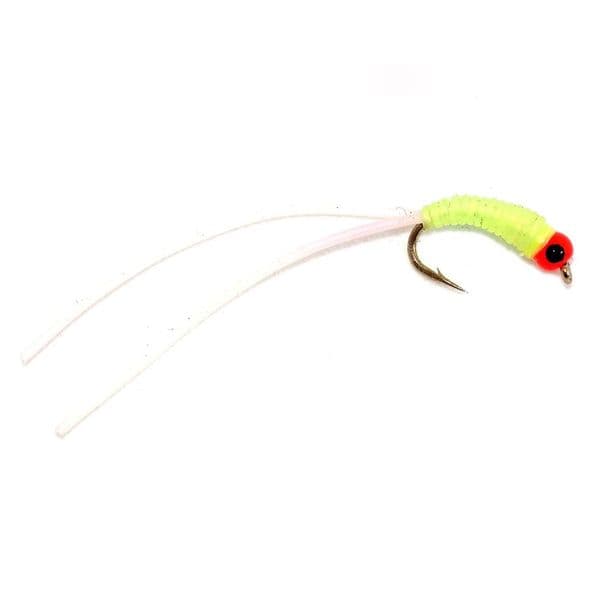 Hot Head Cat Bug - Fario